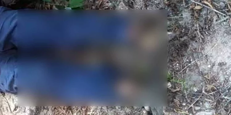 Laureano H. A., de 47 años, fue asesinado mientras acarreaba jamaica en Magdalena Loxicha; su muerte es investigada por la Fiscalía local.