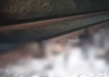 ¡Macabra Navidad en Tehuantepec! Hallan restos humanos