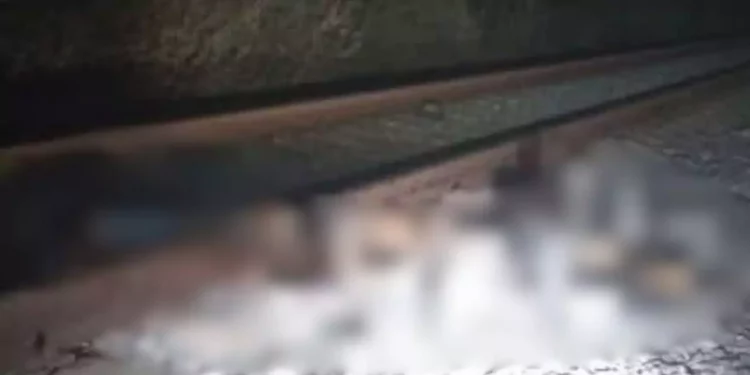 ¡Macabra Navidad en Tehuantepec! Hallan restos humanos