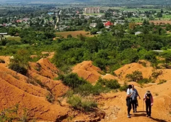 Microbios de Oaxaca abren camino a una agricultura más sostenible