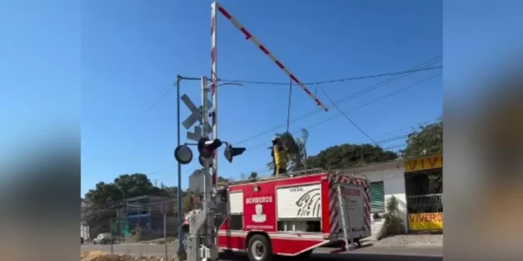 Fuertes vientos provocan falla en cruce ferroviario de Salina Cruz