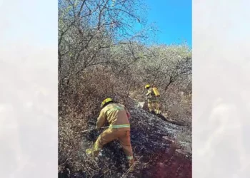 A la zona del incendio se trasladaron elementos policiacos y bomberos.