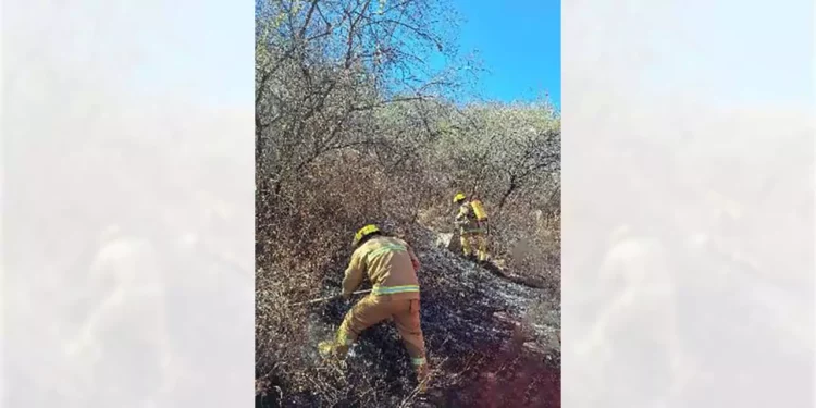 A la zona del incendio se trasladaron elementos policiacos y bomberos.