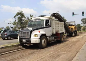 Bacheo, programa estrella.