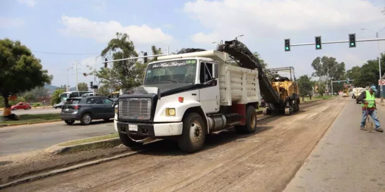 Bacheo, programa estrella.