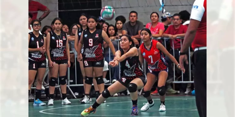 El voleibol del estatal de Olimpiada esta apunto de iniciar.
