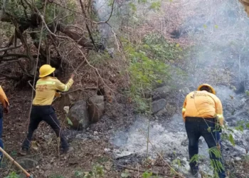 Foto: Gobierno de Oaxaca // Protección civil prevé una intensa temporada de incendios este 2026.