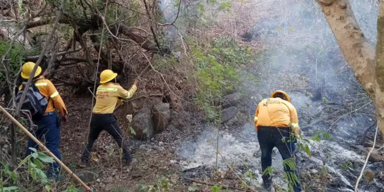 Foto: Gobierno de Oaxaca // Protección civil prevé una intensa temporada de incendios este 2026.