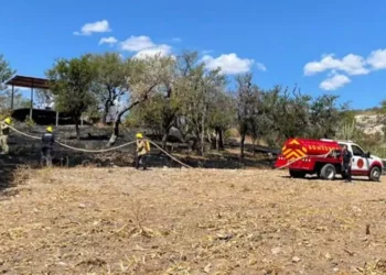 Controlan incendio de pastizales.