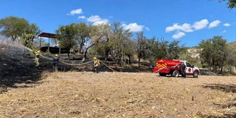 Controlan incendio de pastizales.