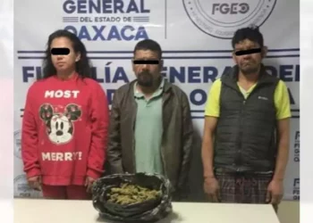 Dos hombres y una mujer, identificados como G. P. M. F., A. A. M. F., originarios de Miahuatlán, y N. A. R., originaria de Tabasco.
