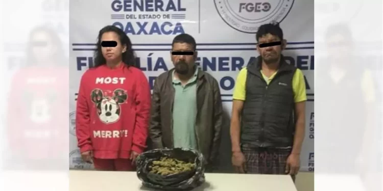 Dos hombres y una mujer, identificados como G. P. M. F., A. A. M. F., originarios de Miahuatlán, y N. A. R., originaria de Tabasco.