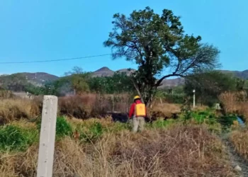 Logran controlar el incendio de pastizal antes de que se extendiera.