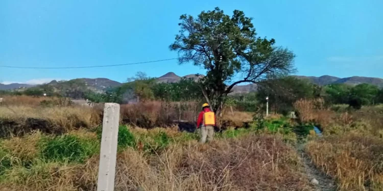 Logran controlar el incendio de pastizal antes de que se extendiera.
