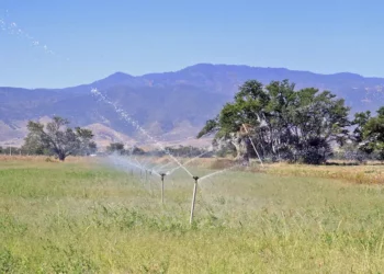 Foto: Archivo El Imparcial // Bombeo, clave para el riego agrícola. Amplían plazo para buscar el subsidio en tarifas.