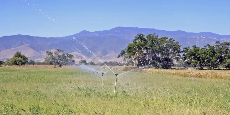 Foto: Archivo El Imparcial // Bombeo, clave para el riego agrícola. Amplían plazo para buscar el subsidio en tarifas.