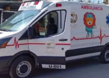 Atienden a lesionado por caída de árbol en Huajuapan.