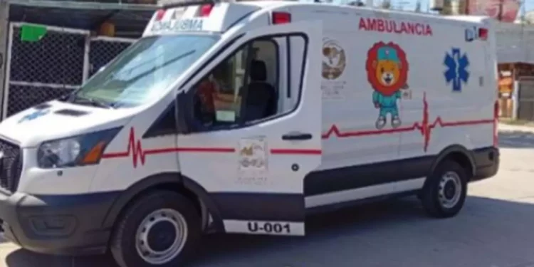 Atienden a lesionado por caída de árbol en Huajuapan.