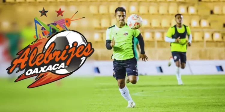 Alfonso Tamay regresa con Alebrijes de Oaxaca