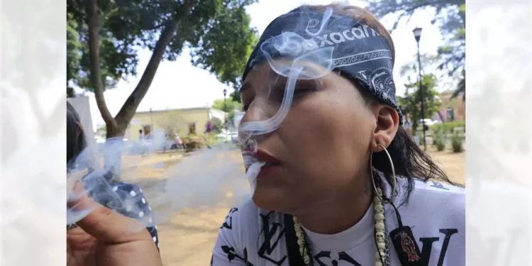 Foto: Adrián Gaytán // Algunos grupos persisten en la intención de que se permita el fumar marihuana en la vía pública.