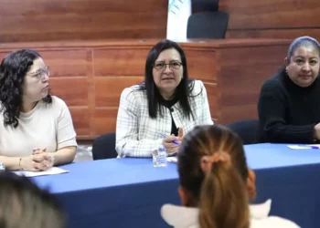 FOTO: TEEO // Audiencia del pleno del TEEO.