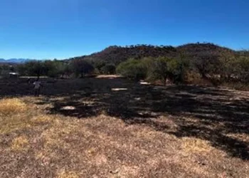 Controlan incendio de pastizales.