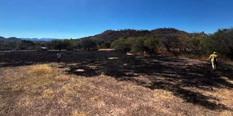 Controlan incendio de pastizales.