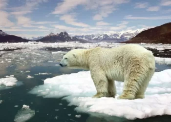 2026 y el calor extremo: lo que dicen los científicos sobre el futuro inmediato