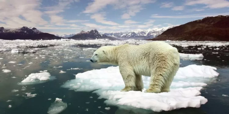 2026 y el calor extremo: lo que dicen los científicos sobre el futuro inmediato