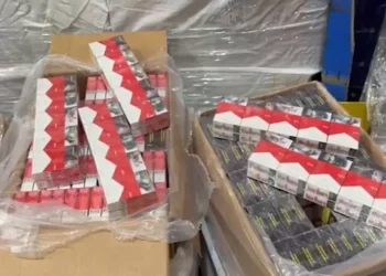 ¿Qué se está fumando en México? Decomisan más de 55 millones de cigarrillos apócrifos