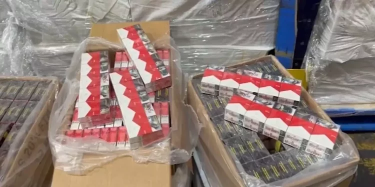 ¿Qué se está fumando en México? Decomisan más de 55 millones de cigarrillos apócrifos