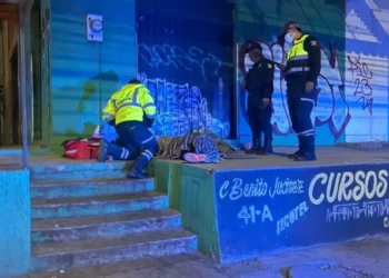 El hallazgo ocurrió a la altura del cruce con la calle Cedros.