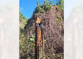 El incidente se suscitó en la carretera, a la altura de la agencia Vista Hermosa.
