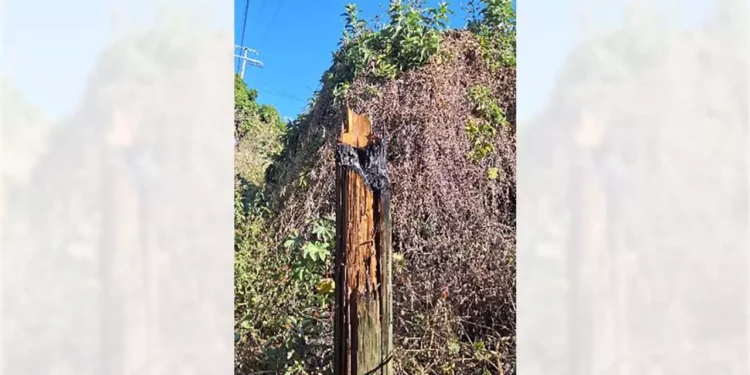 El incidente se suscitó en la carretera, a la altura de la agencia Vista Hermosa.