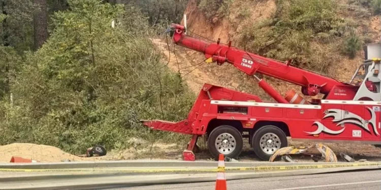 El latigazo de acero salió disparado con una fuerza descomunal, impactándolo en el cráneo y derribándolo de inmediato sobre el asfalto.