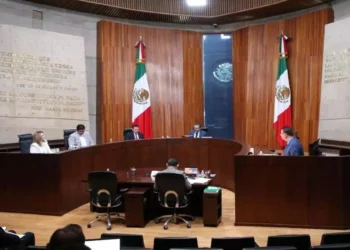Foto: TEPJF // El Tribunal Electoral del Poder Judicial dictó el acta de defunción al PUP.