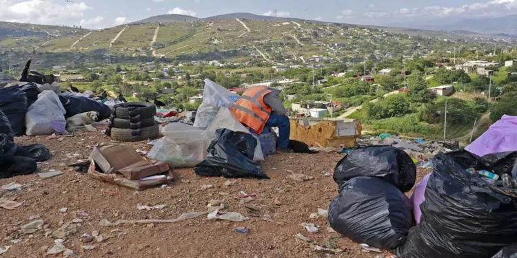 Foto: Adrián Gaytán // El cierre del basurero de Zaachila desencadenó una crisis de manejo de desechos sólidos.