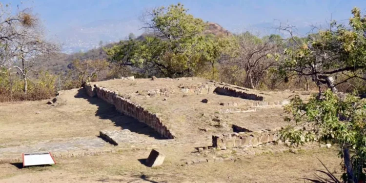El descubrimiento de la Tumba 7 es considerado como uno de los más importantes en la historia de México y el mundo.