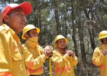 En 2025, el Istmo de Tehuantepec ocupó el tercer lugar a nivel estatal con el registro de 23 incendios.