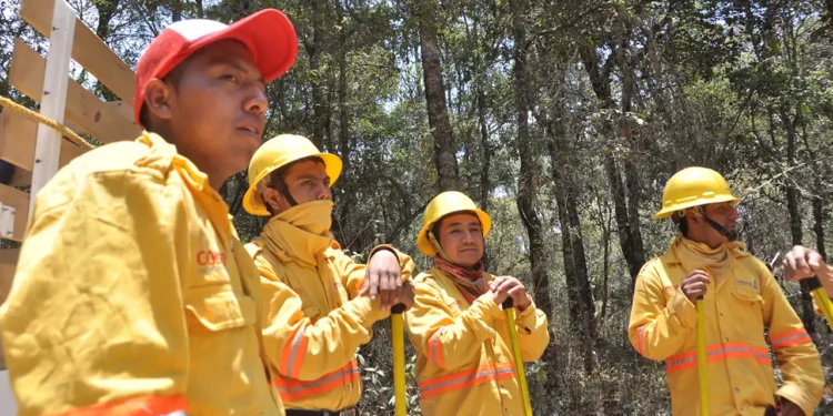 En 2025, el Istmo de Tehuantepec ocupó el tercer lugar a nivel estatal con el registro de 23 incendios.