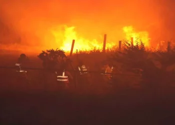Incendio en Xoxo