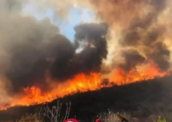 Foto: archivo // Los daños por incendios colocan a la entidad oaxaqueña en el séptimo lugar de los estados más afectados en el país.