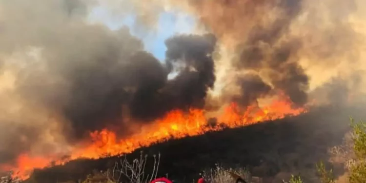 Foto: archivo // Los daños por incendios colocan a la entidad oaxaqueña en el séptimo lugar de los estados más afectados en el país.