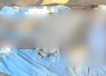 La víctima fue identificada como Simión F. G., de ocupación albañil.