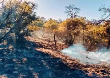 La quema de basura continúa siendo una práctica común que ha derivado en incendios fuera de control.