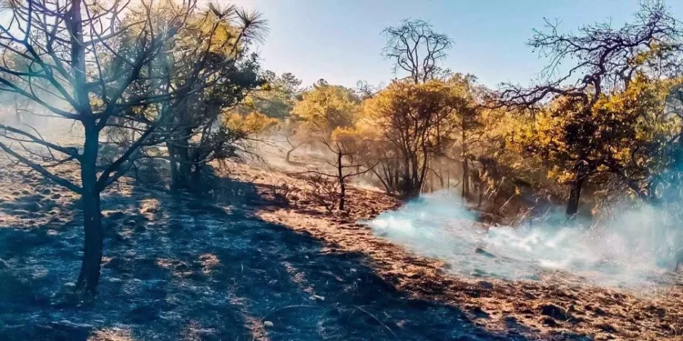 La quema de basura continúa siendo una práctica común que ha derivado en incendios fuera de control.