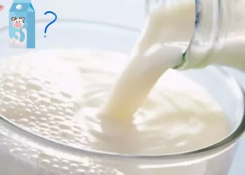 ¿Leche o producto lácteo? Las diferencias que debes conocer antes de comprar