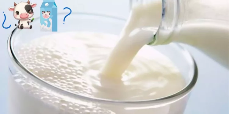 ¿Leche o producto lácteo? Las diferencias que debes conocer antes de comprar