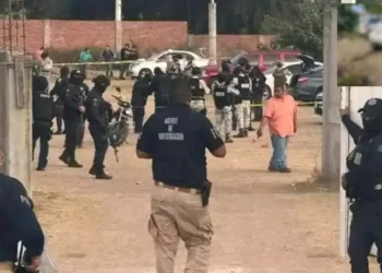 ¡Domingo de sangre! Masacre en Salamanca y ataque armado en CDMX exhiben la violencia sin freno