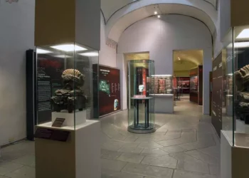 Foto: Museo de las Culturas de Oaxaca // Objetos del ajuar funerario de la Tumba 7 de Monte Albán son resguardados en Museos.